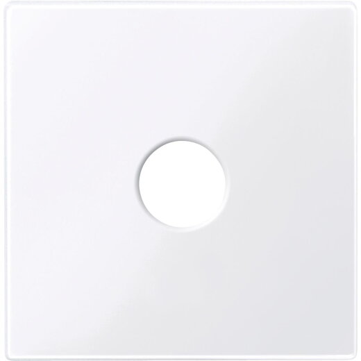 Merten Zentralplatte 451825 aktivweiss glänzend System M