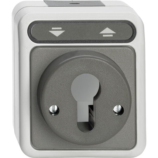 Merten Rollladentastrastschalter MEG3717-8029 lichtgrau