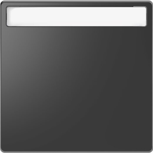 Merten Wippe Anthrazit System Design