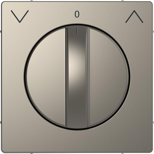 Merten Zentralplatte Nickelmetallic System Design