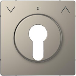 Merten Zentralplatte Nickelmetallic System Design