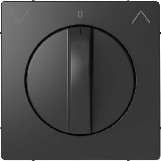 Merten Zentralplatte Anthrazit System Design