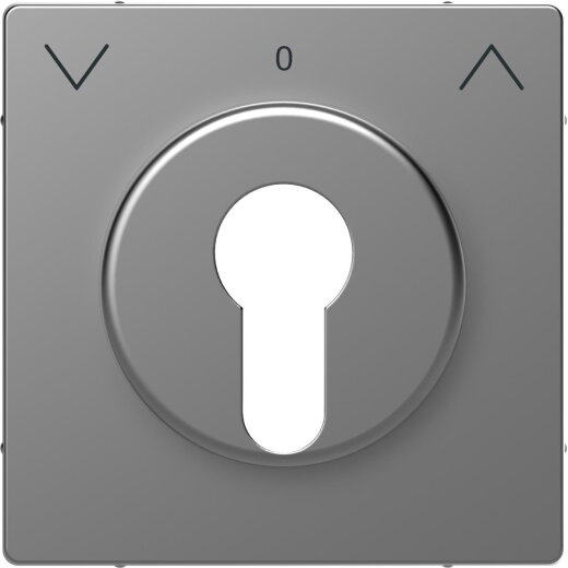 Merten Zentralplatte Edelstahl System Design