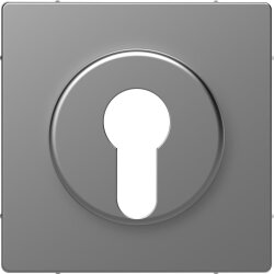 Merten Zentralplatte Edelstahl System Design