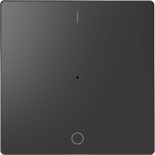 Merten Wippe Anthrazit System Design