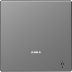 Merten Wippe Kontrollfenster+Kennz. Licht Edelstahl