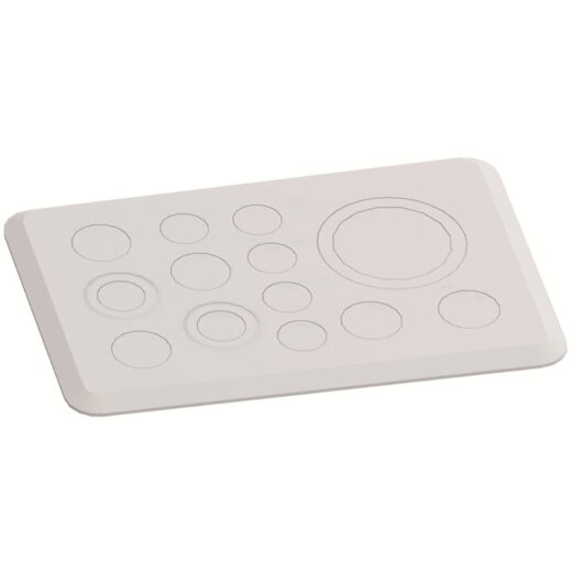 ABB Striebel & John TZ102P10 Flansch für M-Verschraubungen 1x M63/M50, 2x M32/M20, 5x M25, 5x M20