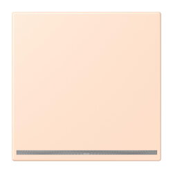 Jung LED-Orientierungslicht, Thermoplast lackiert, Serie...