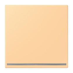 Jung LED-Orientierungslicht, Thermoplast lackiert, Serie...