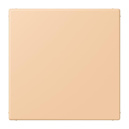 Jung Blind-Abdeckung (gerastet), Thermoplast lackiert, Serie LS, terre sienne claire 31 LC994B237