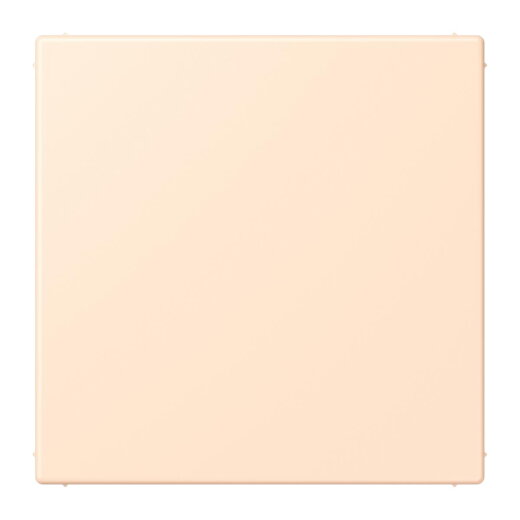 Jung Blind-Abdeckung (gerastet), Thermoplast lackiert, Serie LS, terre sienne pâle LC994B238