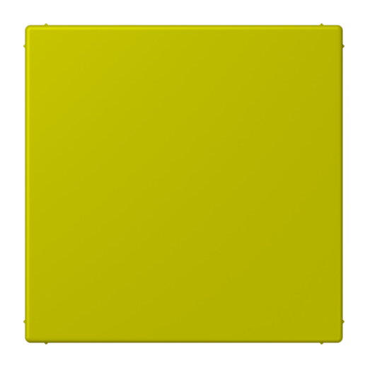 Jung Blind-Abdeckung (gerastet), Thermoplast lackiert, Serie LS, vert olive vif LC994B249