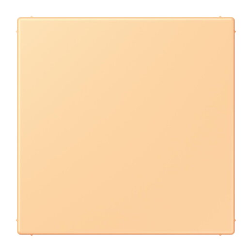 Jung Blind-Abdeckung (gerastet), Thermoplast lackiert, Serie LS, terre sienne claire 59 LC994B258