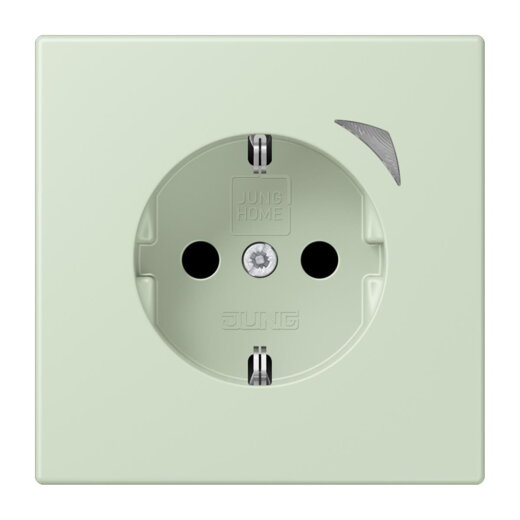 Jung HOME SCHUKO® Steckdose, 16 A 250 V ~, Schraubklemmen, mit Funktionsanzeige, SAFETY+, Thermoplast lackiert BTLC1521S218