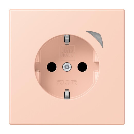 Jung HOME SCHUKO® Steckdose, 16 A 250 V ~, Schraubklemmen, mit Funktionsanzeige, SAFETY+, Thermoplast lackiert BTLC1521S234