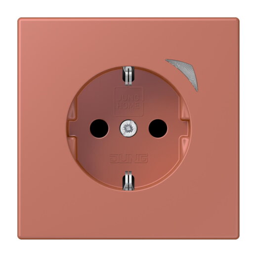 Jung HOME SCHUKO® Steckdose, 16 A 250 V ~, Schraubklemmen, mit Funktionsanzeige, SAFETY+, Thermoplast lackiert BTLC1521S236