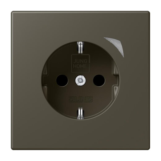 Jung HOME SCHUKO® Steckdose, 16 A 250 V ~, Schraubklemmen, mit Funktionsanzeige, SAFETY+, Thermoplast lackiert BTLC1521S241