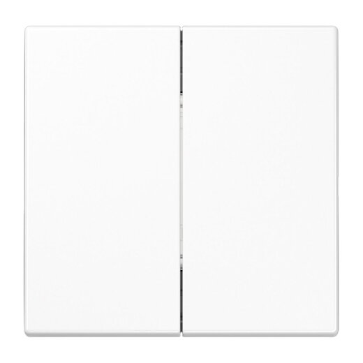 Jung Friends of Hue Funk-Wandsender Set 4-kanalig, Serie LS, alpinweiß FOHLS995WW