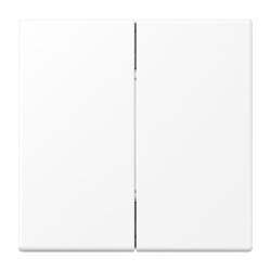 Jung Friends of Hue Funk-Wandsender Set 4-kanalig, Serie...