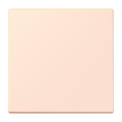 Jung EnOcean Funk-Wandsender 2-kanalig, Serie LS, orange...