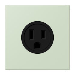 Jung Steckdose, US-Norm NEMA, 15 A 125 V ~,...