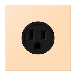 Jung Steckdose, US-Norm NEMA, 15 A 125 V ~,...