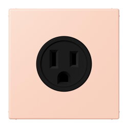 Jung Steckdose, US-Norm NEMA, 15 A 125 V ~,...