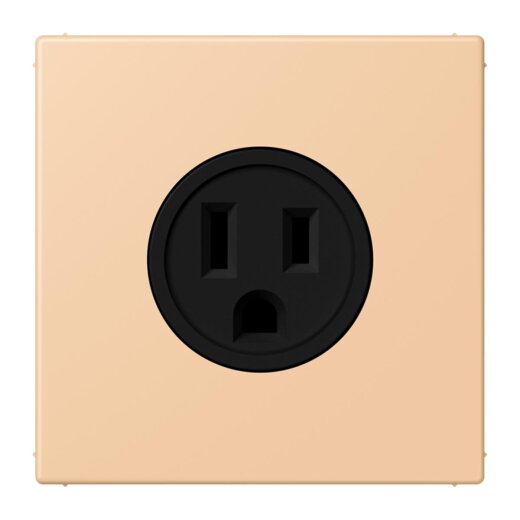 Jung Steckdose, US-Norm NEMA, 15 A 125 V ~, Schraubklemmen, ohne Krallen, Thermoplast lackiert, Serie LS, terre sienne claire 31 LC521-15237