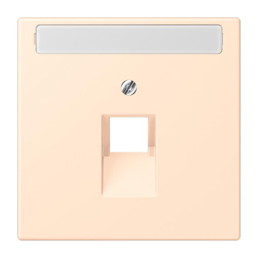 Jung Abdeckung für IAE/UAE-Anschlussdosen 1 x 8-polig, mit Schriftfeld, Thermoplast lackiert, Serie LS, terre sienne pâle LC969-1NAUA238