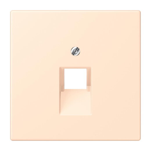 Jung Abdeckung für IAE/UAE-Anschlussdosen 1 x 8-polig, Thermoplast lackiert, Serie LS, terre sienne pâle LC969-1UA238