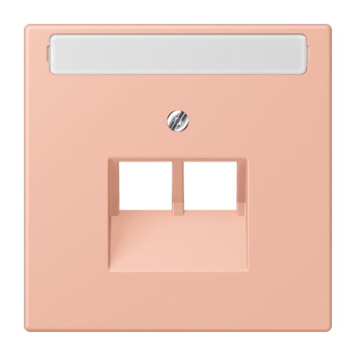 Jung Abdeckung für IAE/UAE-Anschlussdosen 2 x 8-polig, mit Schriftfeld, Thermoplast lackiert, Serie LS, rose clair LC969-2NAUA231