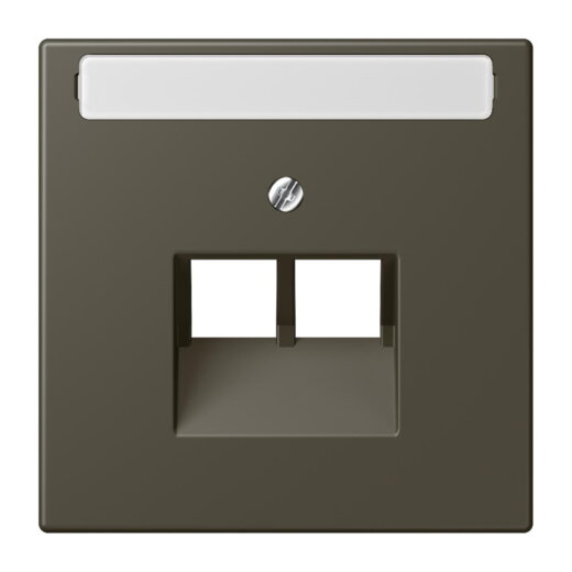 Jung Abdeckung für IAE/UAE-Anschlussdosen 2 x 8-polig, mit Schriftfeld, Thermoplast lackiert, Serie LS, ombre naturelle 31 LC969-2NAUA241