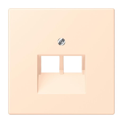 Jung Abdeckung für IAE/UAE-Anschlussdosen 2 x 8-polig, Thermoplast lackiert, Serie LS, terre sienne pâle LC969-2UA238