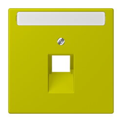 Jung Abdeckung für IAE/UAE-Anschlussdosen...