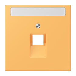 Jung Abdeckung für IAE/UAE-Anschlussdosen...