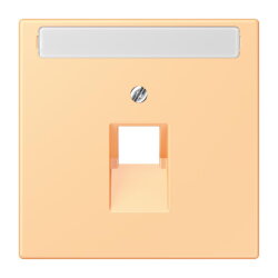 Jung Abdeckung für IAE/UAE-Anschlussdosen...