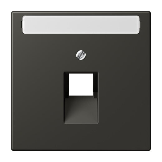 Jung Abdeckung für IAE/UAE-Anschlussdosen 1 x 8-polig, mit Schriftfeld, Thermoplast lackiert, Serie LS, ombre naturelle 59 LC969-1NAUA259