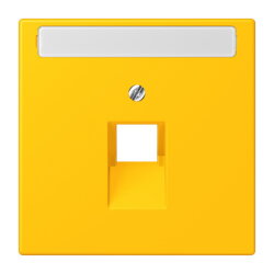 Jung Abdeckung für IAE/UAE-Anschlussdosen...