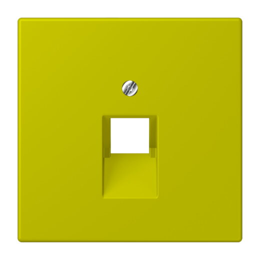 Jung Abdeckung für IAE/UAE-Anschlussdosen 1 x 8-polig, Thermoplast lackiert, Serie LS, vert olive vif LC969-1UA249