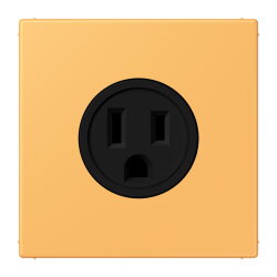 Jung Steckdose, US-Norm NEMA, 15 A 125 V ~,...