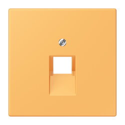 Jung Abdeckung für IAE/UAE-Anschlussdosen...