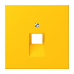 Jung Abdeckung für IAE/UAE-Anschlussdosen...