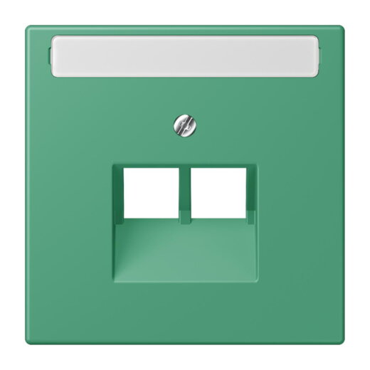 Jung Abdeckung für IAE/UAE-Anschlussdosen 2 x 8-polig, mit Schriftfeld, Thermoplast lackiert, Serie LS, vert 59 LC969-2NAUA250