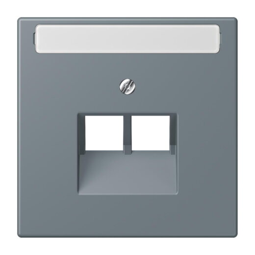 Jung Abdeckung für IAE/UAE-Anschlussdosen 2 x 8-polig, mit Schriftfeld, Thermoplast lackiert, Serie LS, gris 59 LC969-2NAUA251