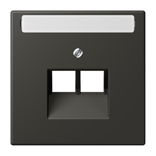 Jung Abdeckung für IAE/UAE-Anschlussdosen 2 x 8-polig, mit Schriftfeld, Thermoplast lackiert, Serie LS, ombre naturelle 59 LC969-2NAUA259