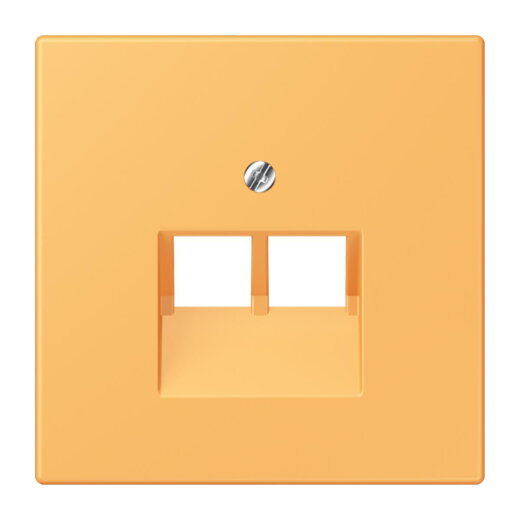 Jung Abdeckung für IAE/UAE-Anschlussdosen 2 x 8-polig, Thermoplast lackiert, Serie LS, ocre jaune clair LC969-2UA254