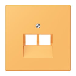 Jung Abdeckung für IAE/UAE-Anschlussdosen...