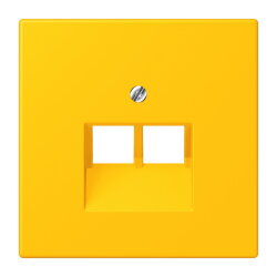 Jung Abdeckung für IAE/UAE-Anschlussdosen...