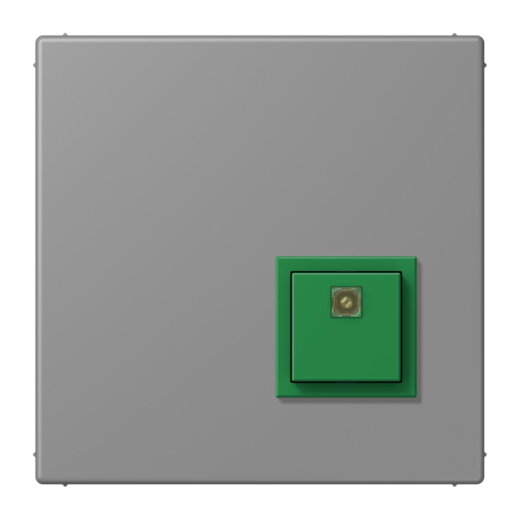 Jung Notrufsystem Abstelltaster, Serie LS, gris 31 NRSLC0834AT203