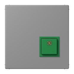 Jung Notrufsystem Abstelltaster, Serie LS, gris 31...